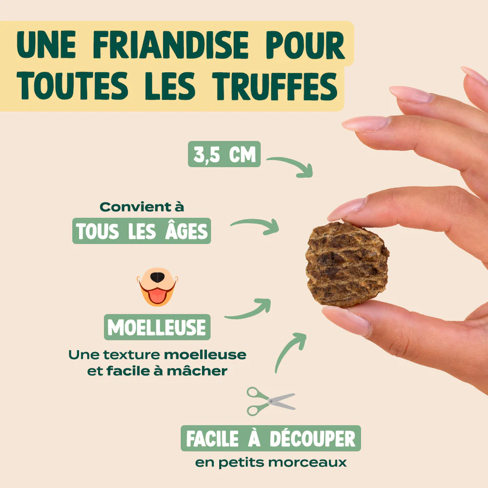 Viande séchée de boeuf - 90g