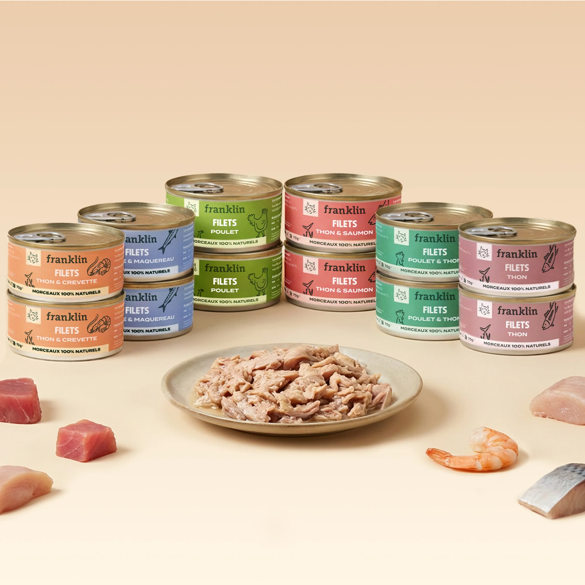 Filets pour chats - 70 g au choix 