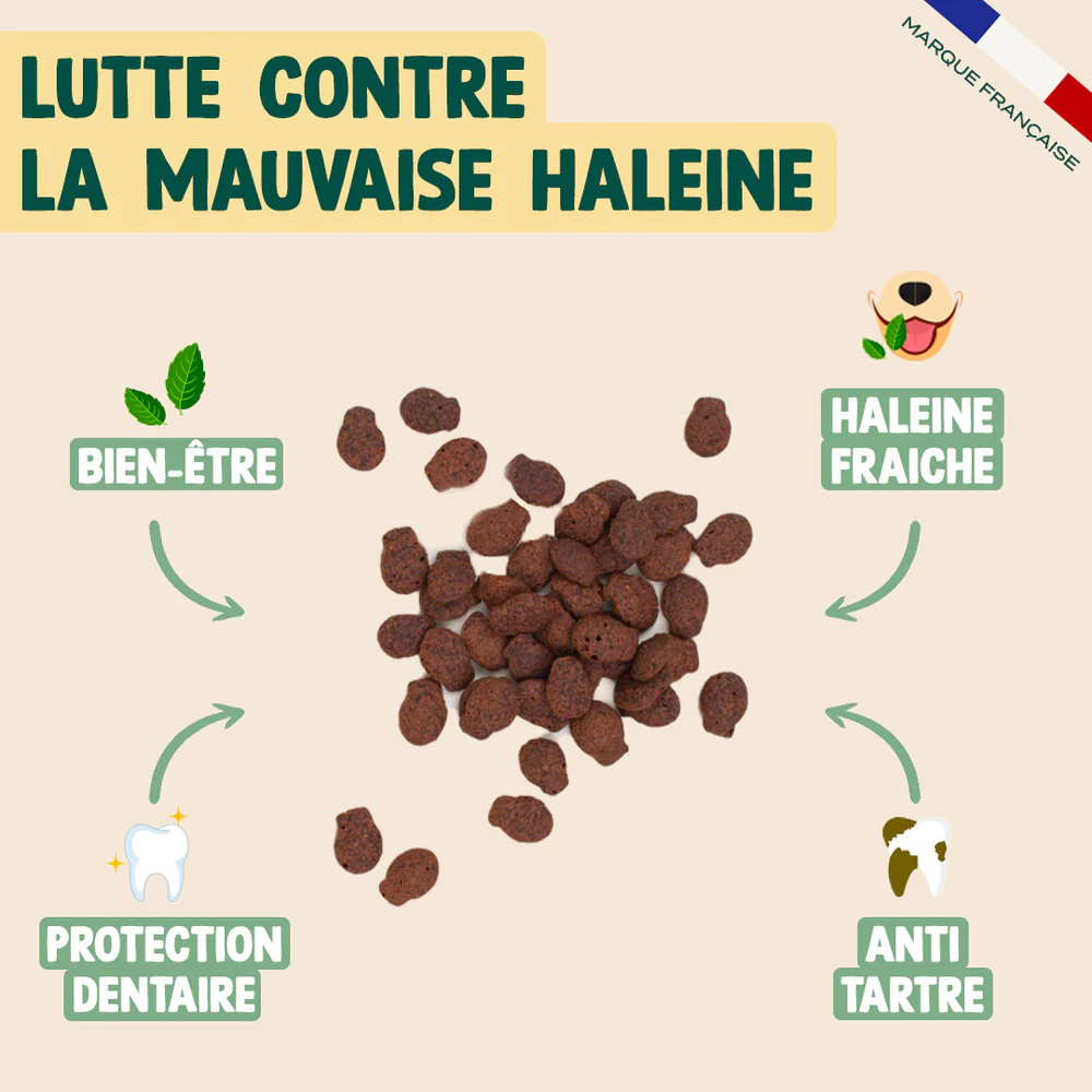 Biscroc' dentaire pour chats - 50 g