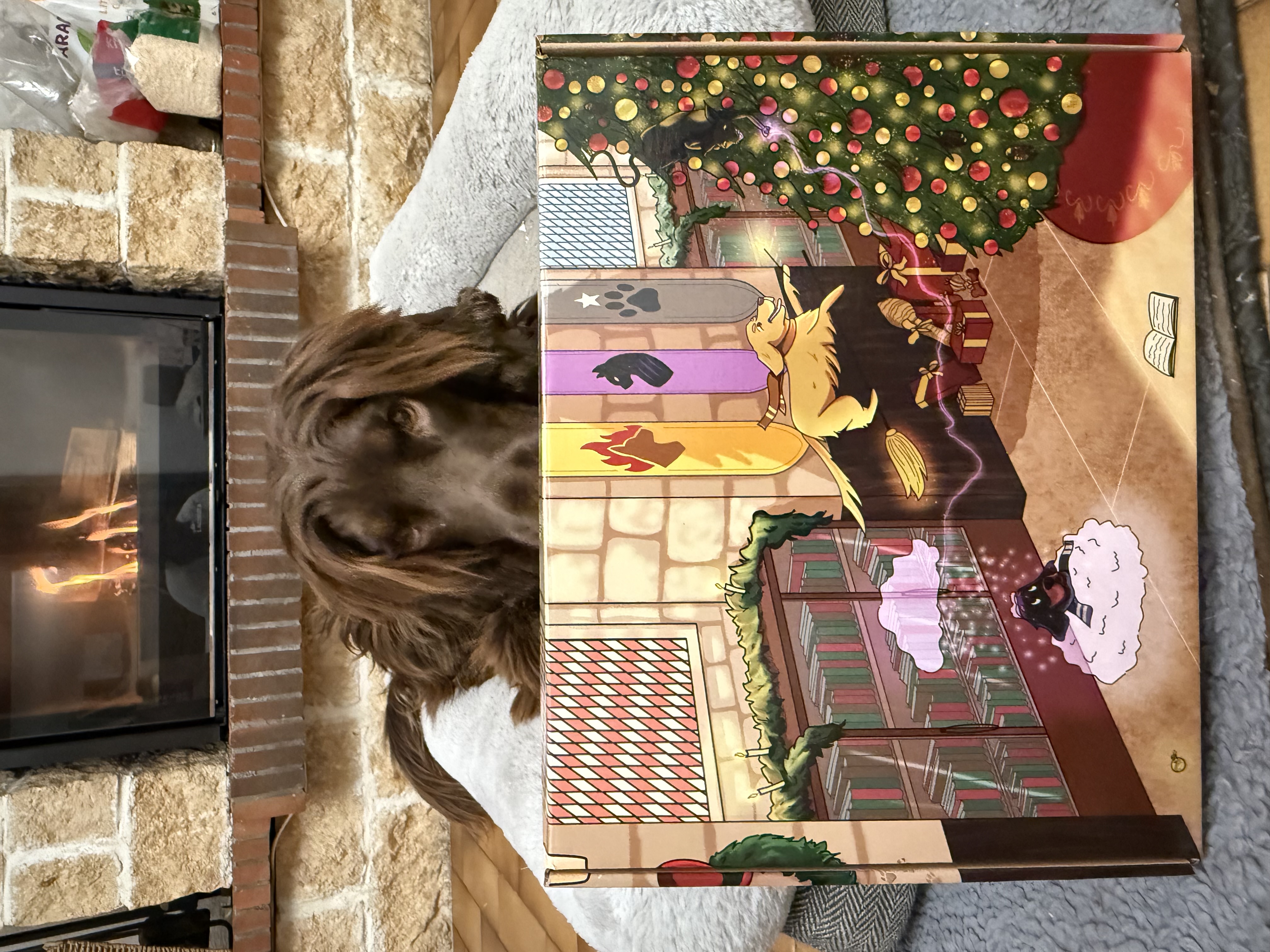 Box Calendrier de L'Avent by TRUFFE DELICE