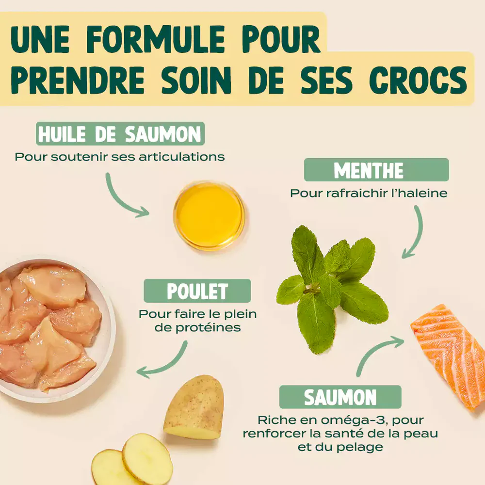 Biscroc' dentaire pour chats - 50 g