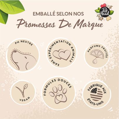 Baume pour les coussinets et la truffe - 40 gr