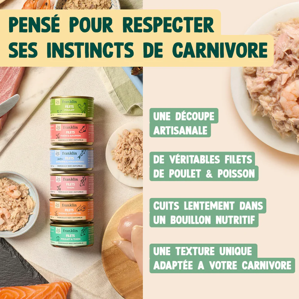 Filets pour chats - 70 g au choix 
