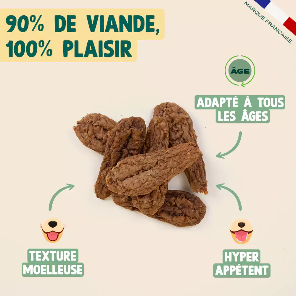 Viande de faisan et poulet séchée - 100g