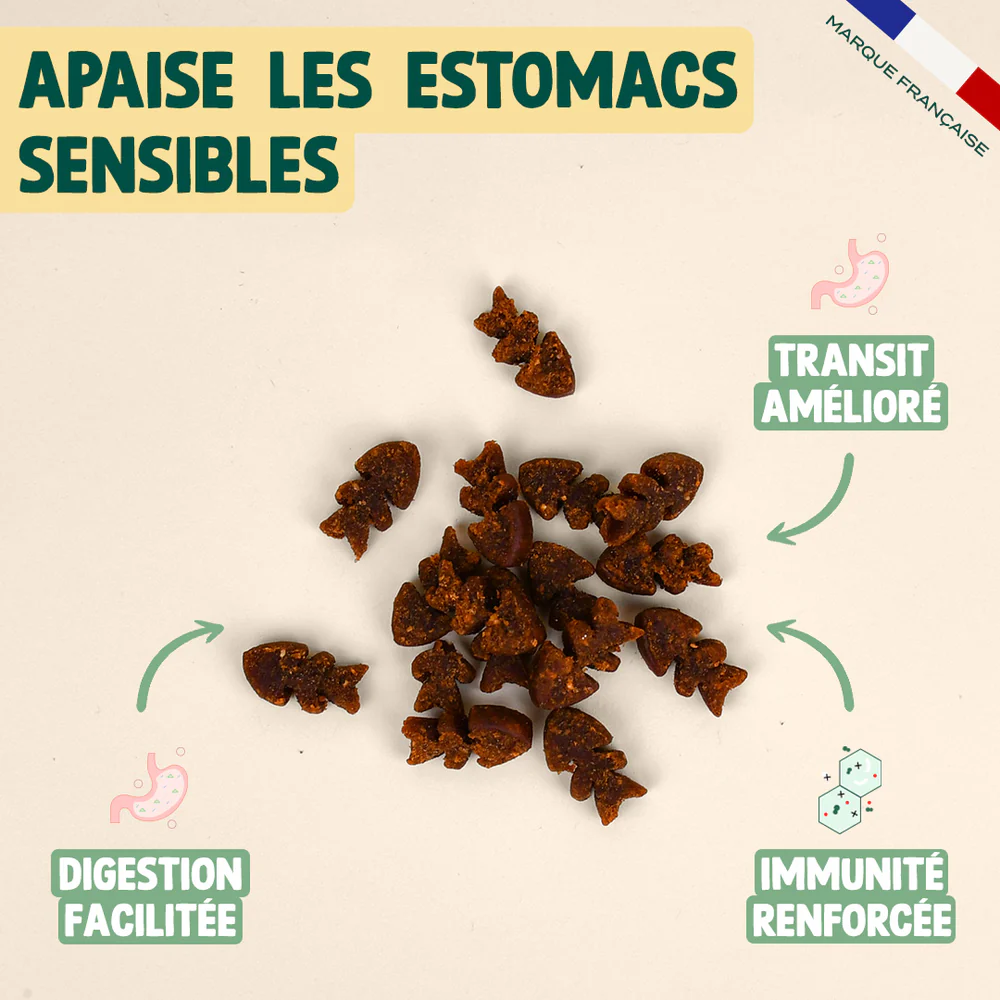 Mini snack digestion pour chats - 50 g