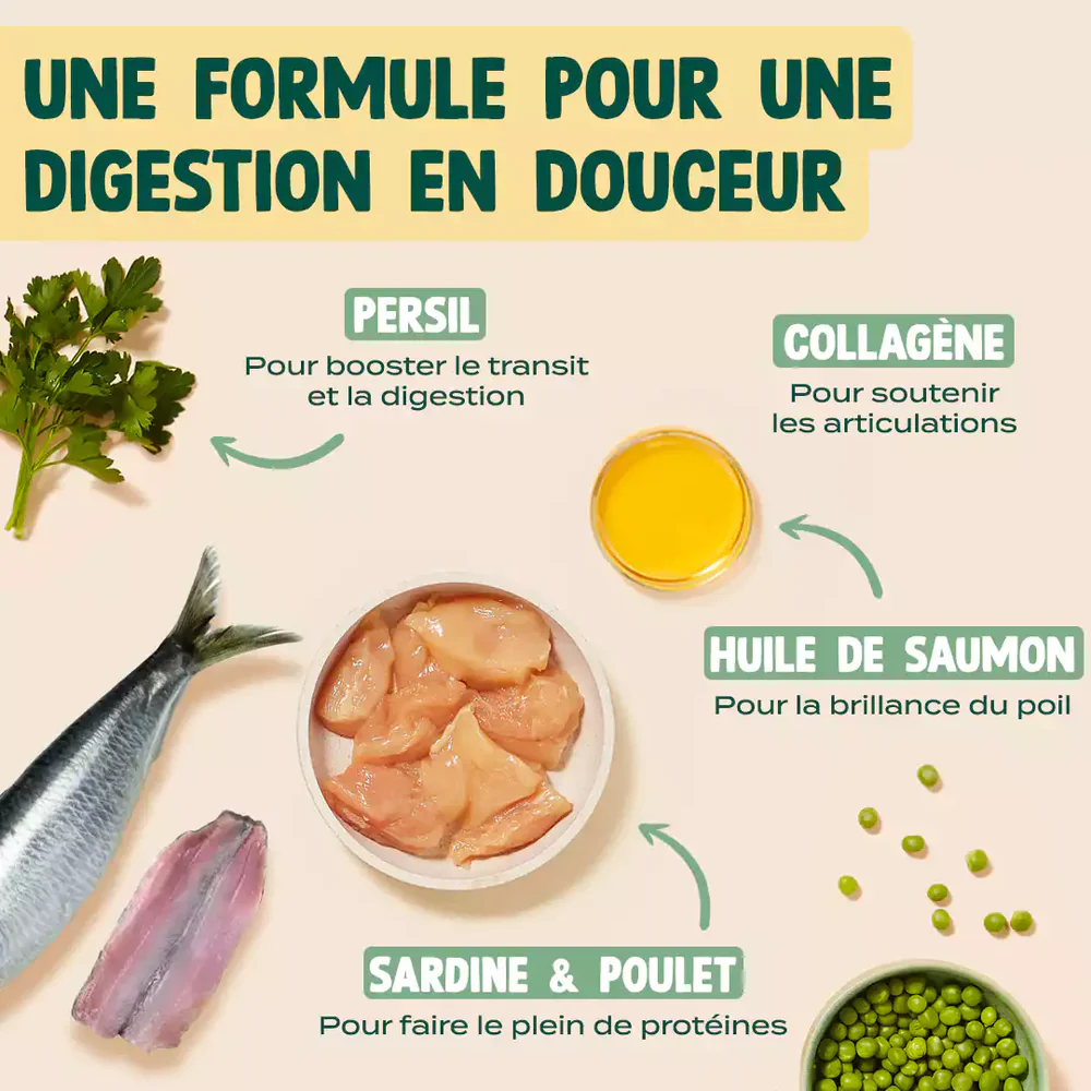 Mini snack digestion pour chats - 50 g