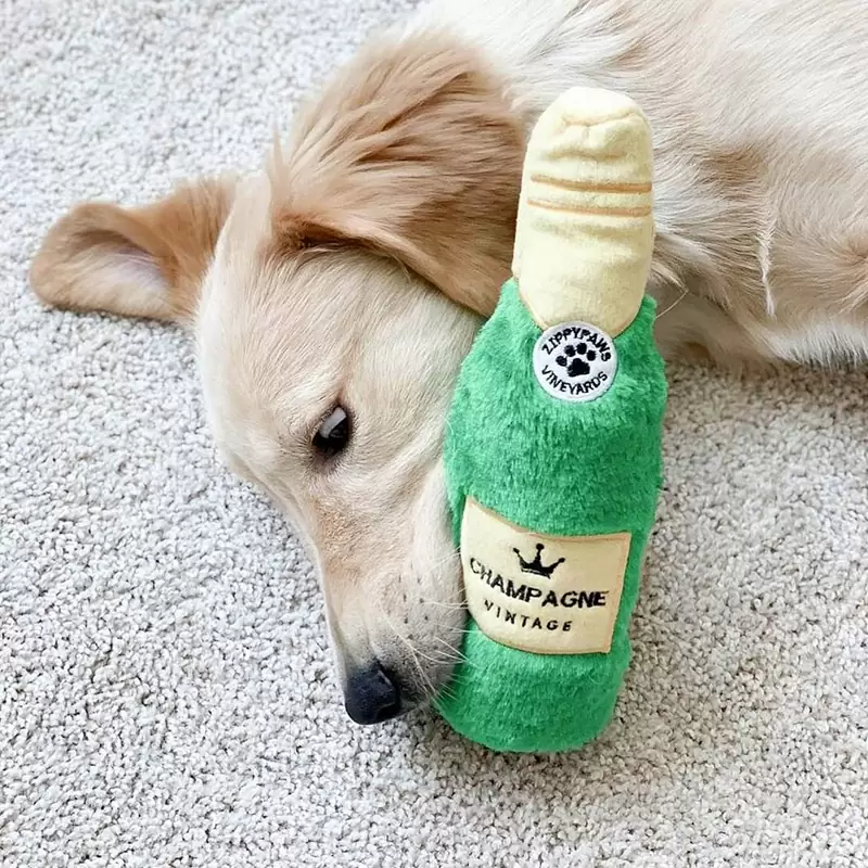 Bouteille de champagne pour chien