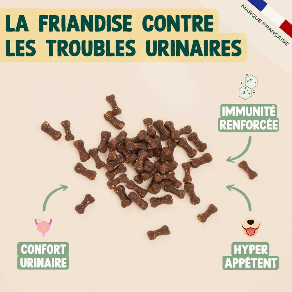Mini snack urinaire - 50 g