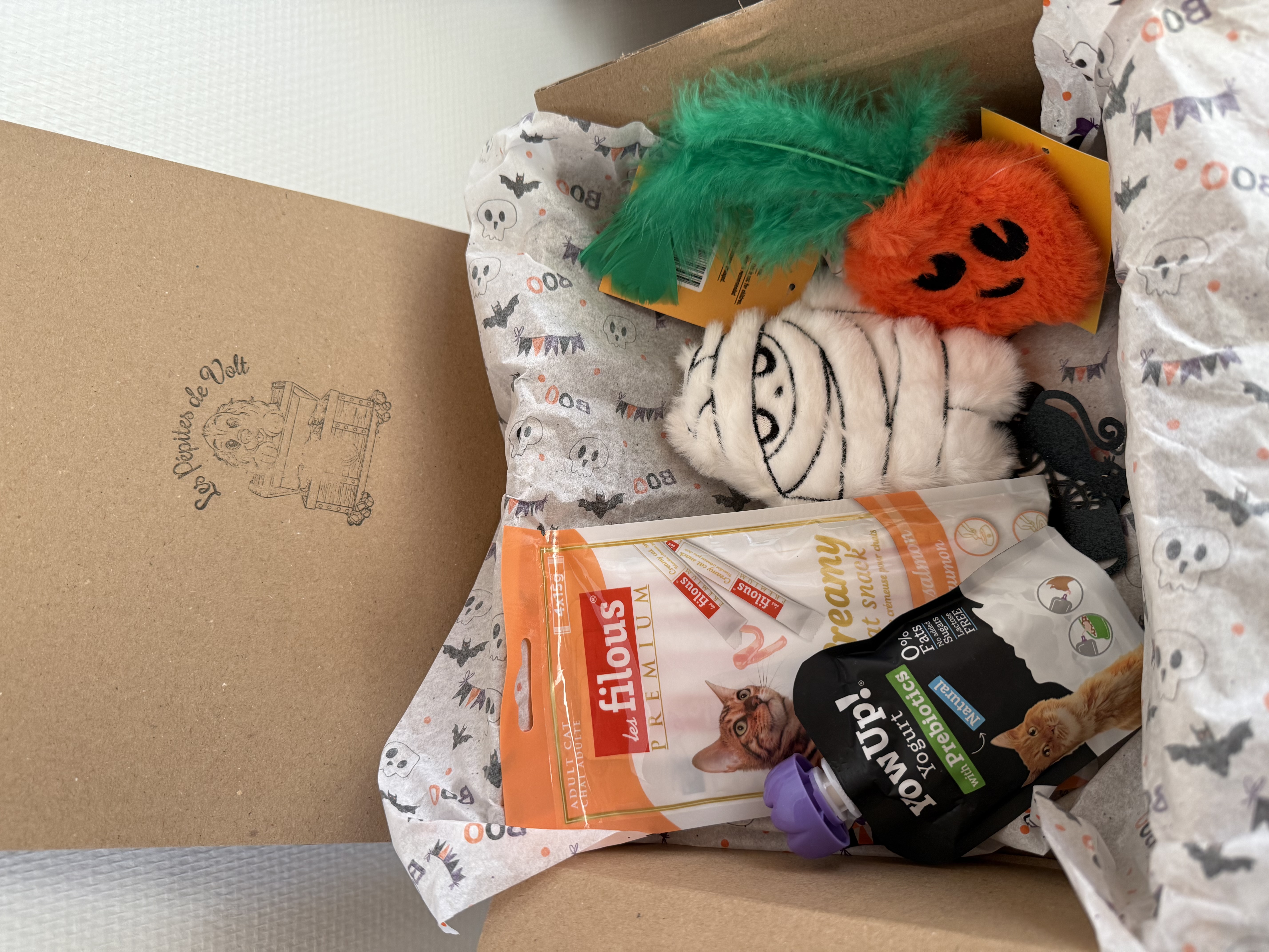 Box d'halloween pour chats