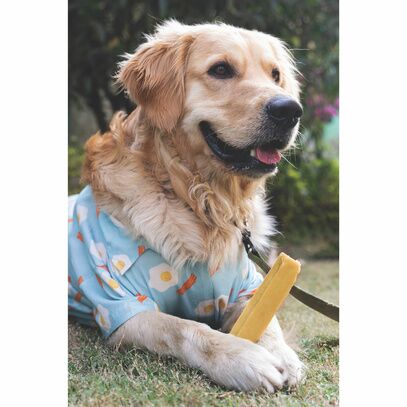 Fromage à mâcher - taille au choix 