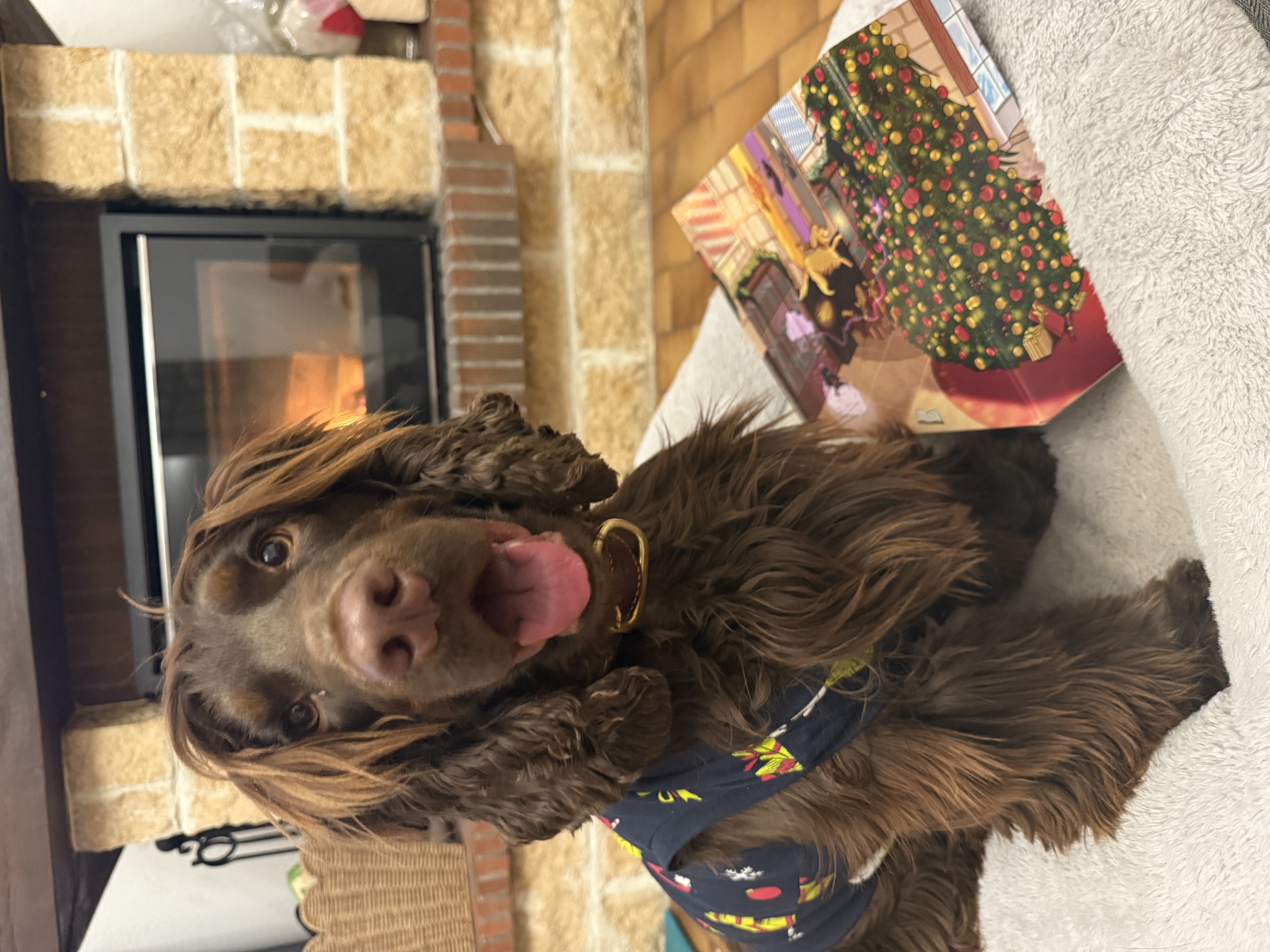 Box Calendrier de L'Avent by TRUFFE DELICE