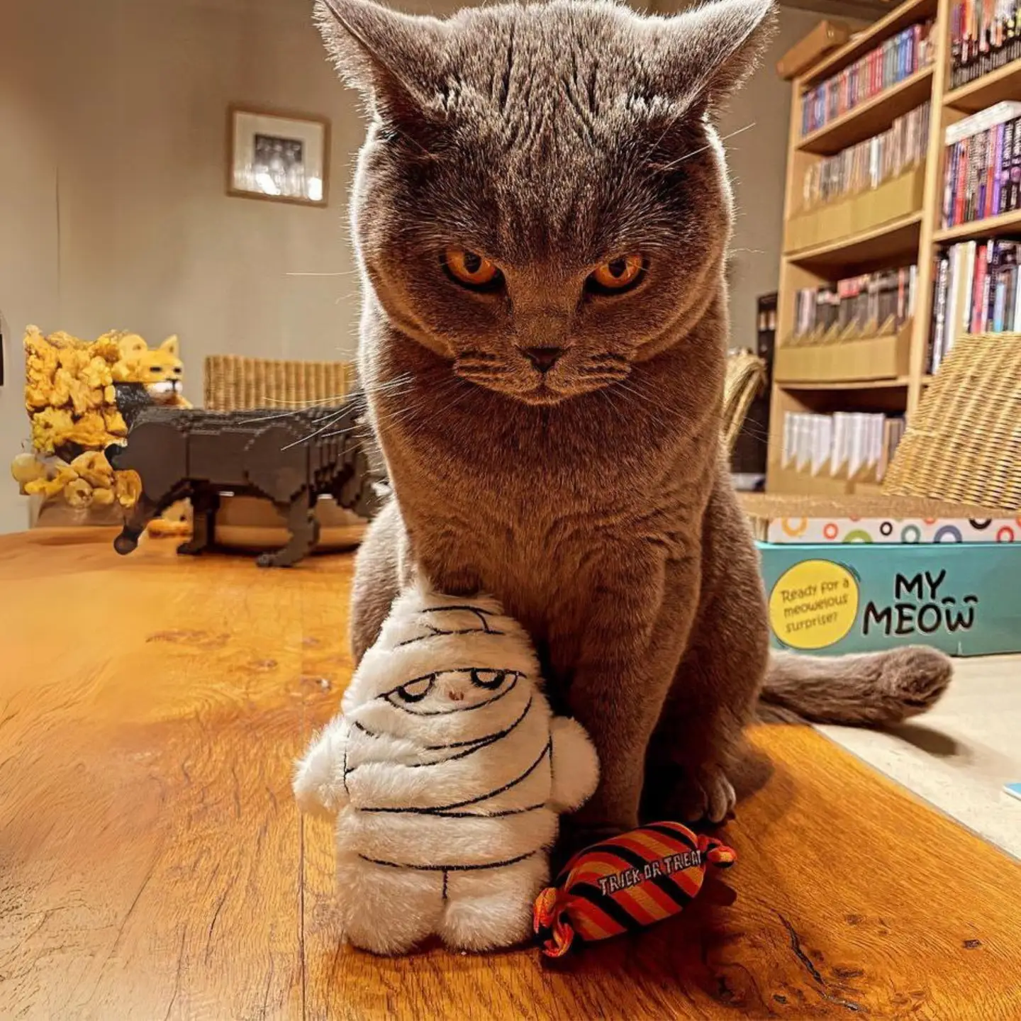 Peluches d'halloween pour chats rechargeables