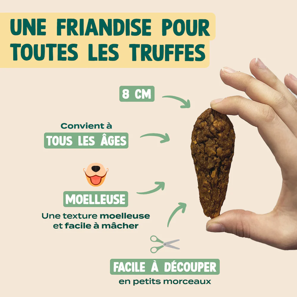 Viande de faisan et poulet séchée - 100g