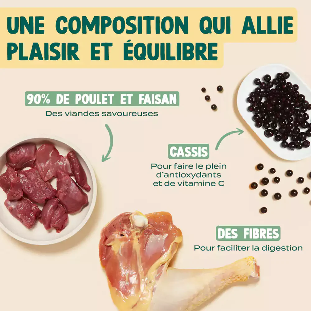 Viande de faisan et poulet séchée - 100g