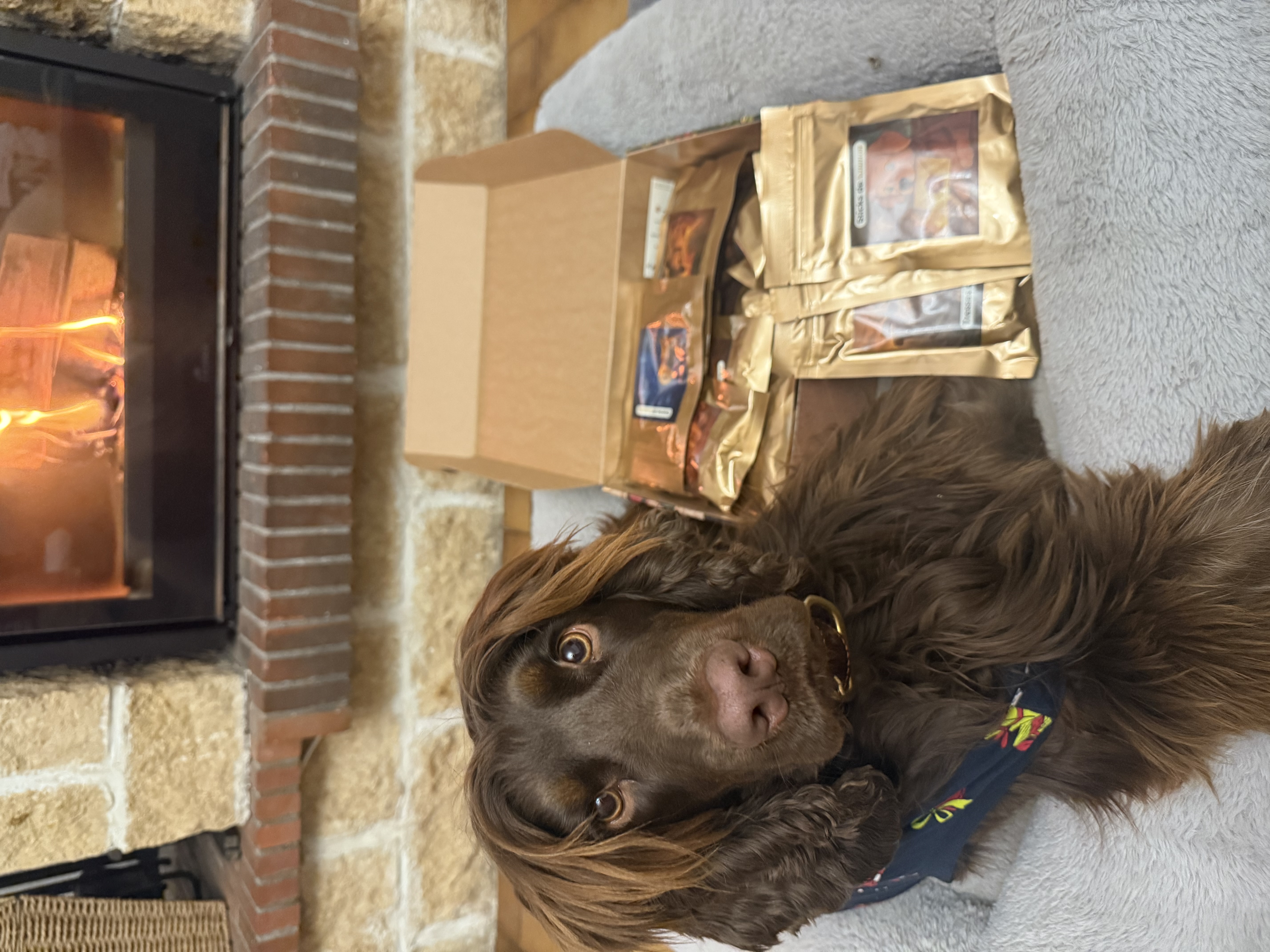 Box Calendrier de L'Avent by TRUFFE DELICE