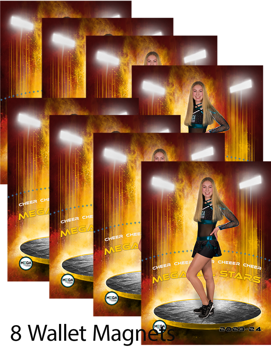 Item V, 8 - Wallet Magnets