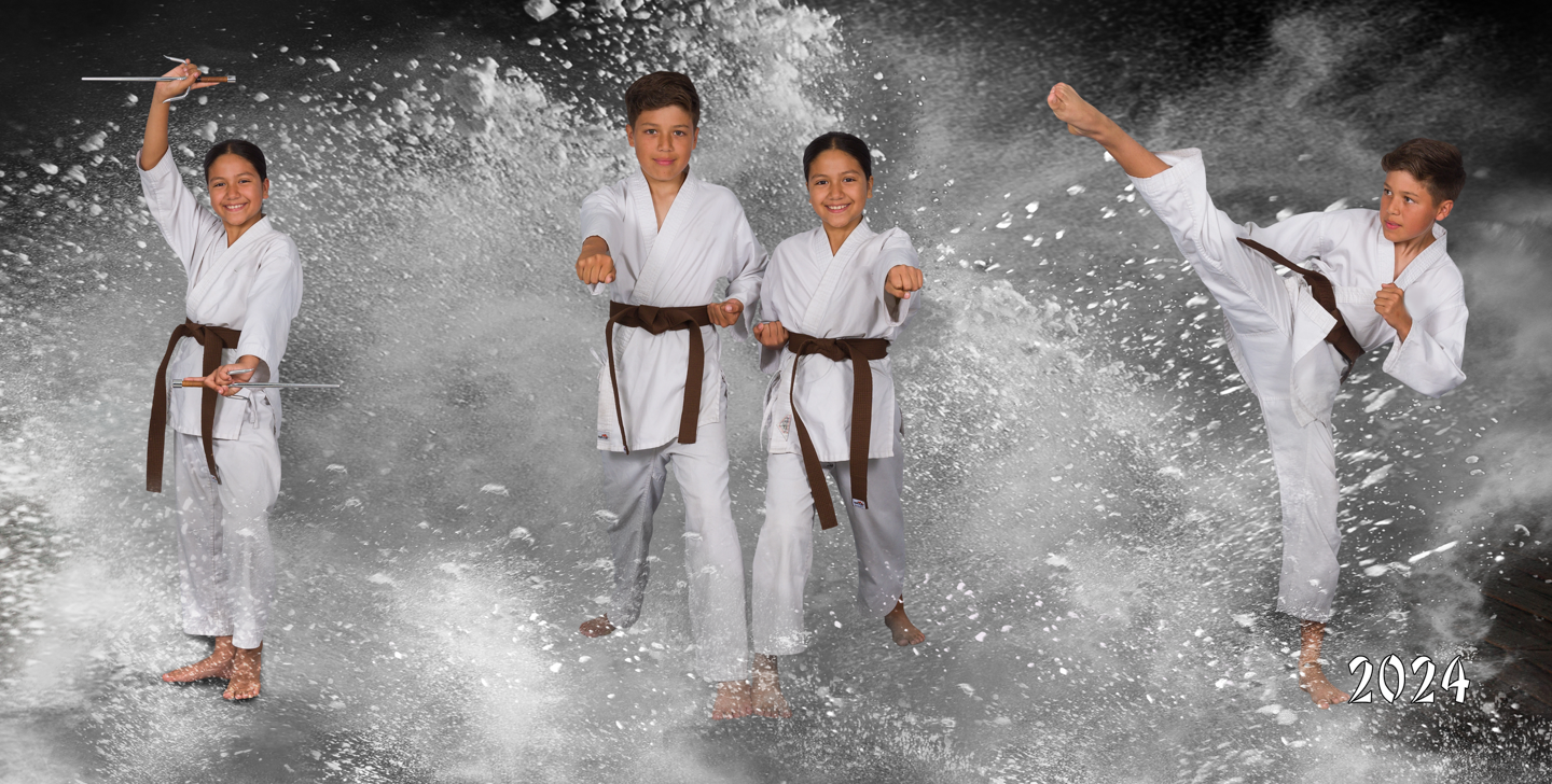 Item N, 1 Metal License Plate