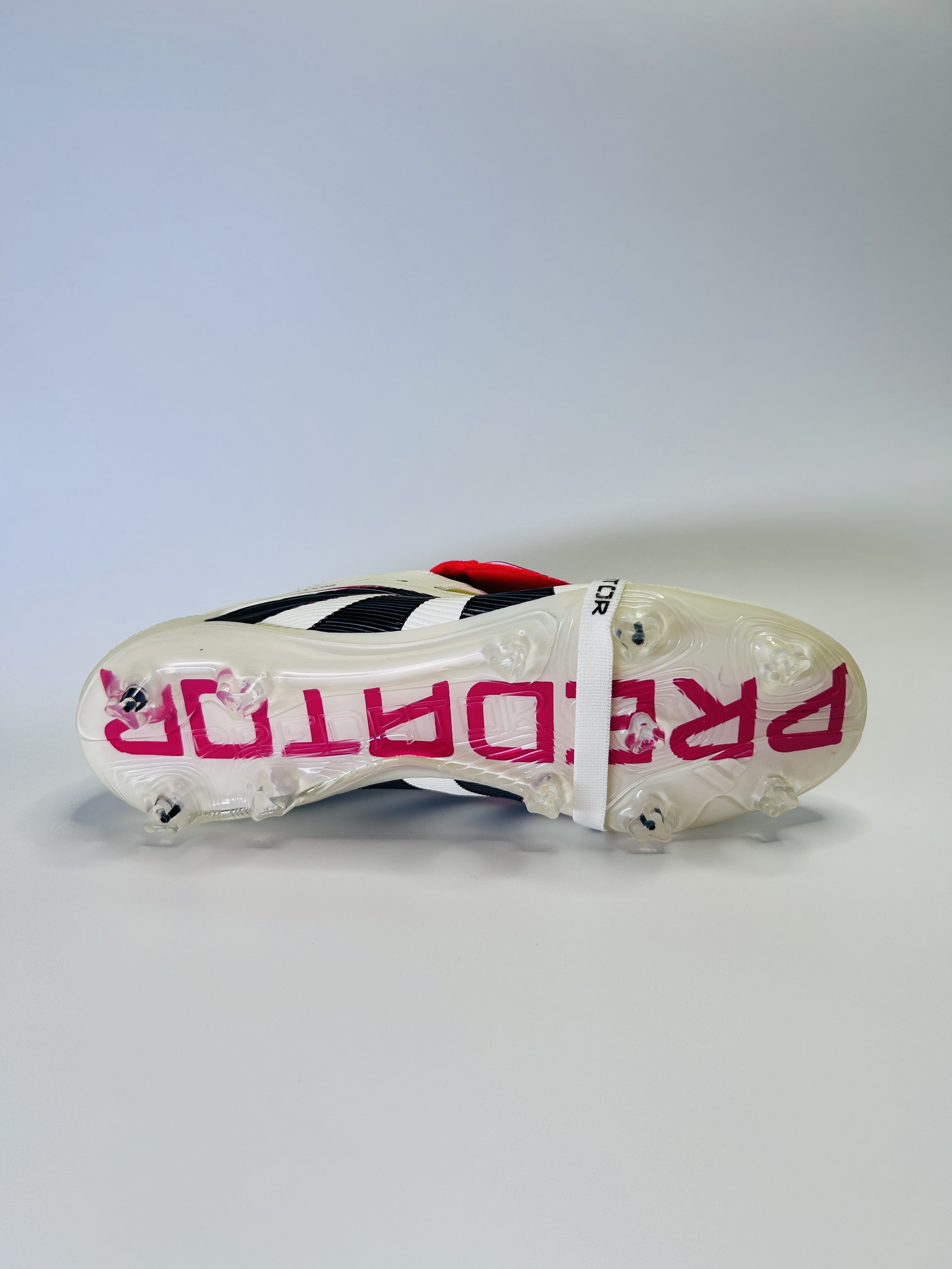 Predator Champagne 2025 edition