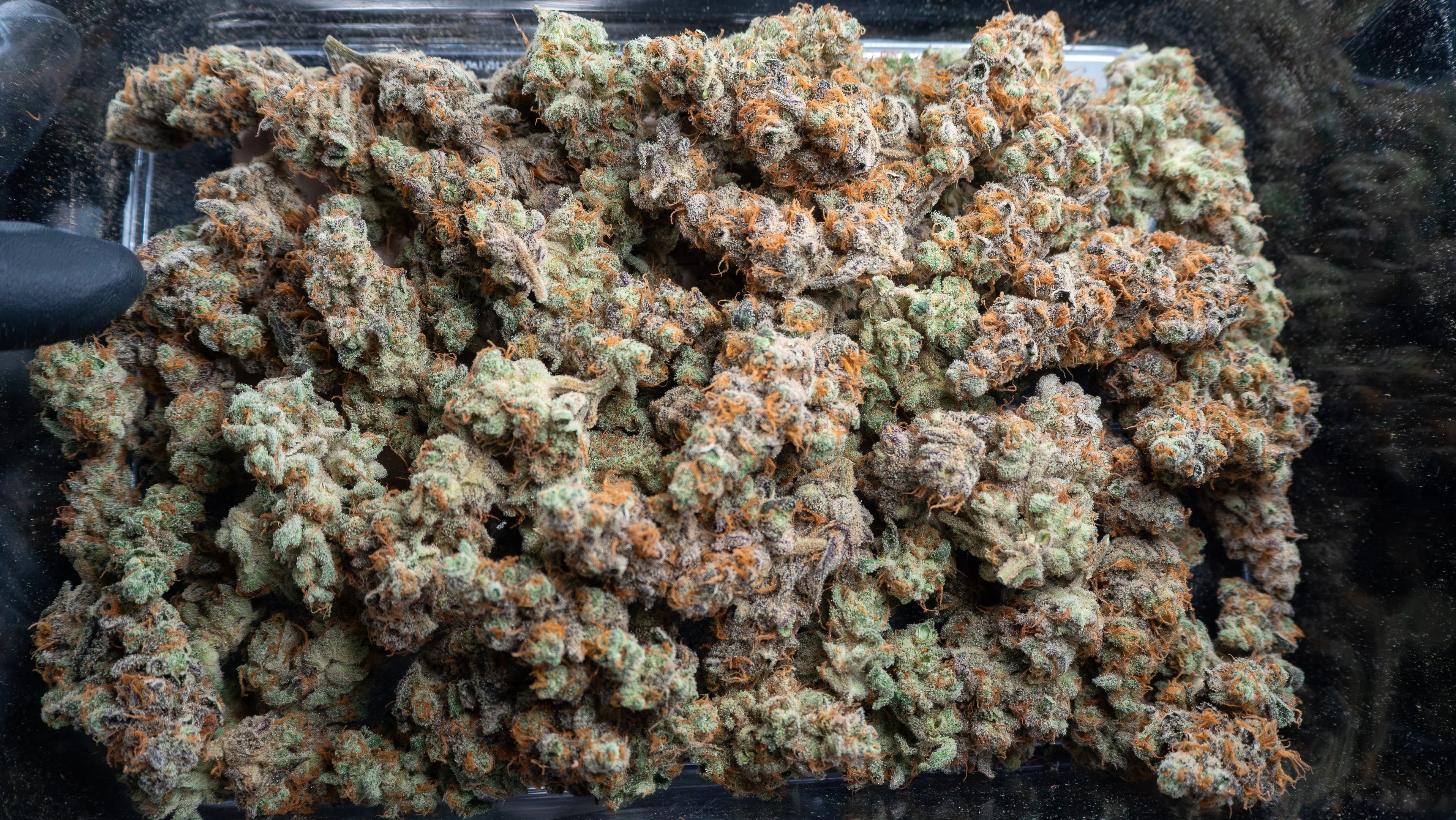 Green Blend