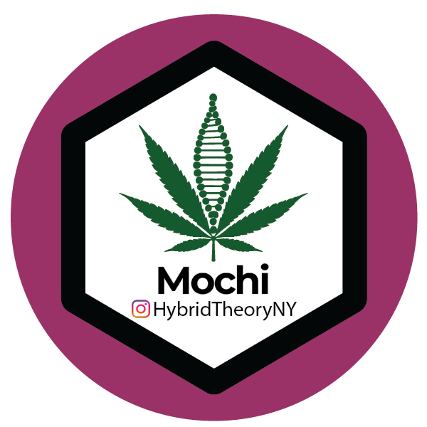 Mochi
