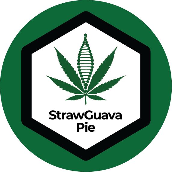 StrawGuava Pie
