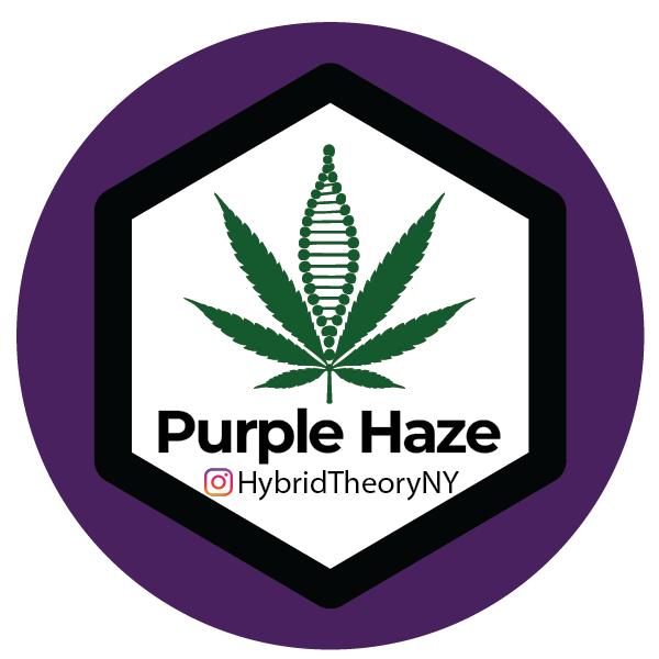 Purple Haze