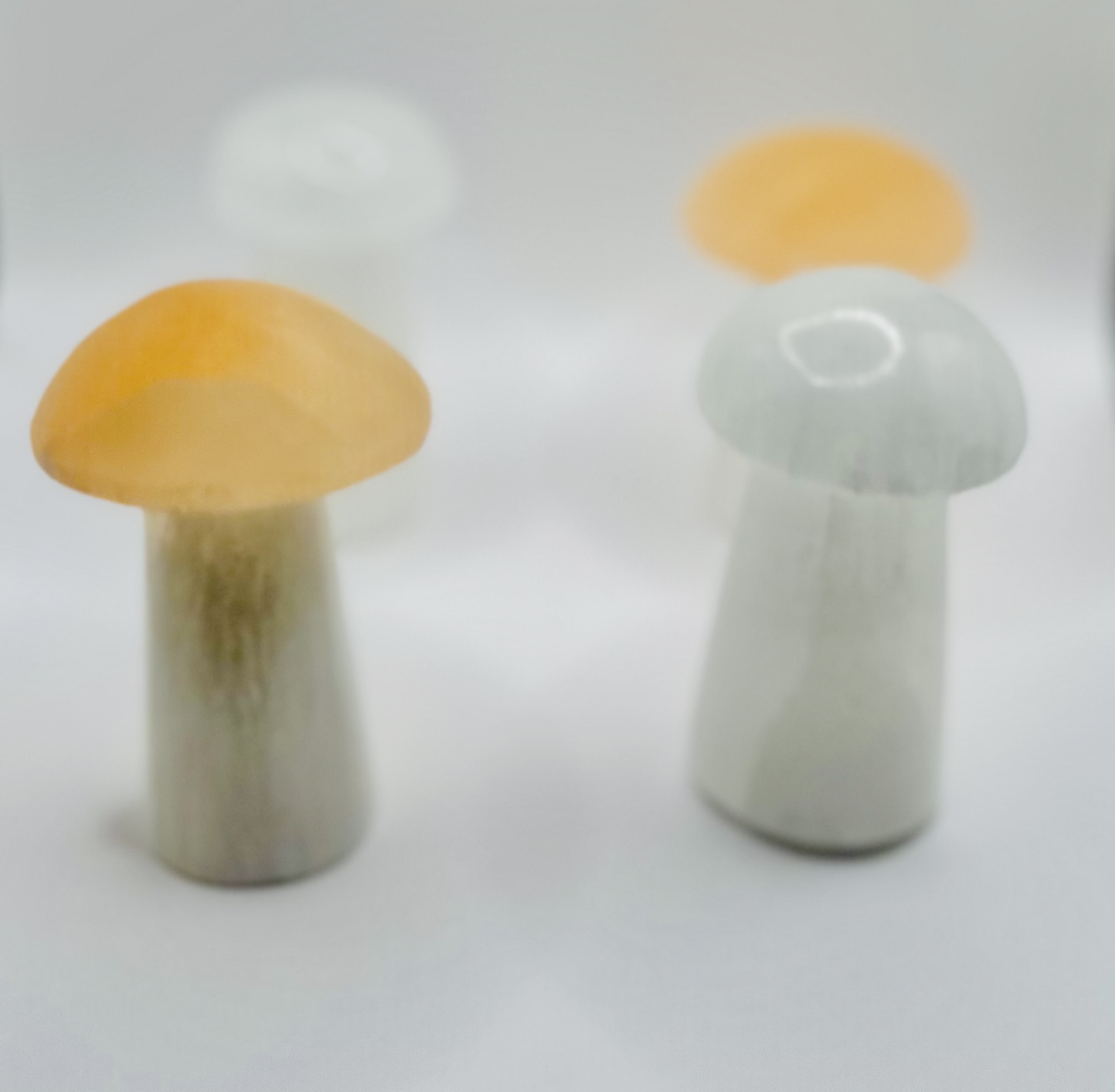 Champignon en sélénite