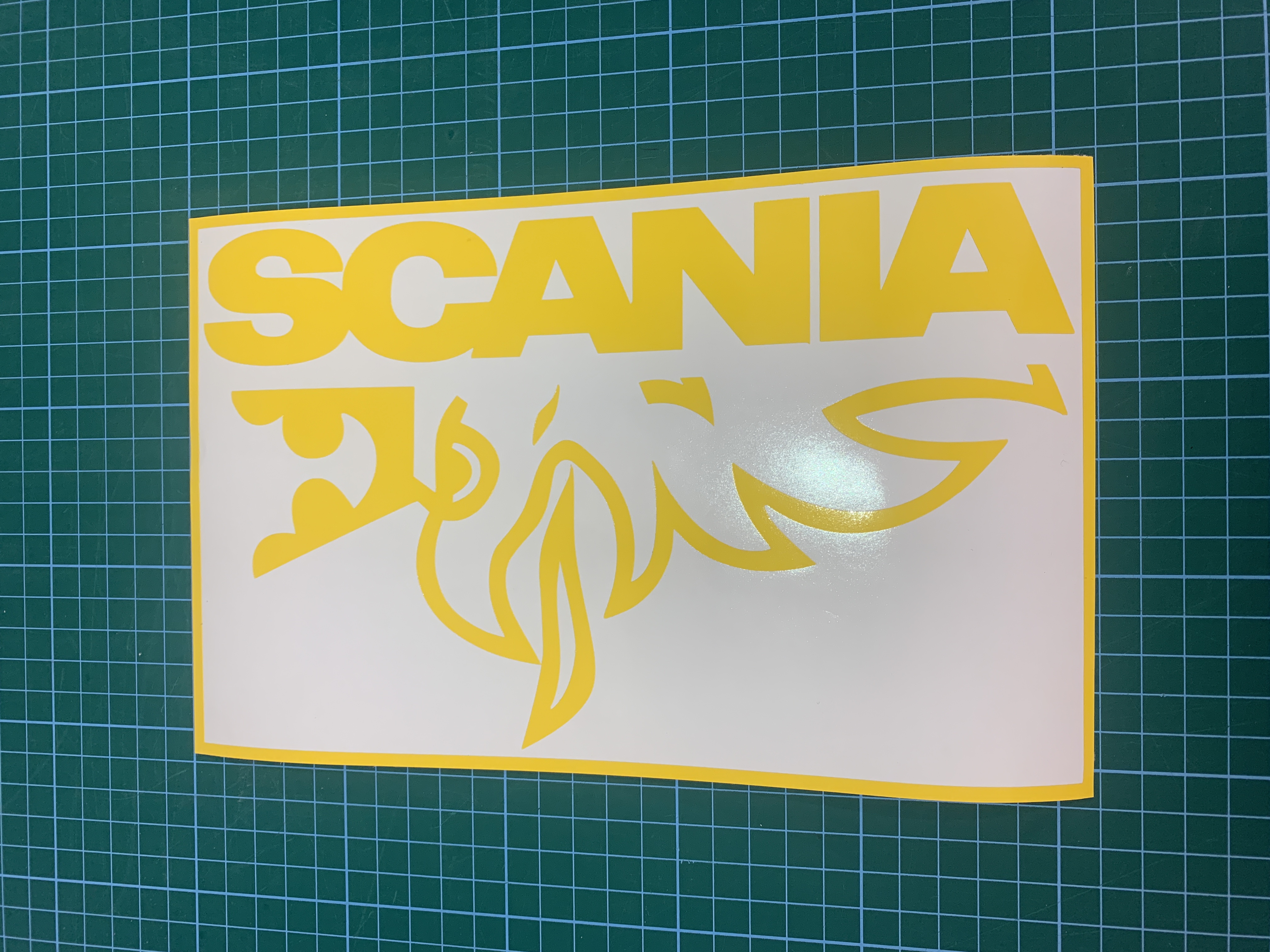 Car/Van/Truck window decals (Pair)