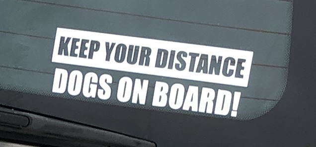Dogs On Board sticker 200x100mm