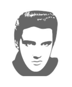 Elvis Presley Sticker