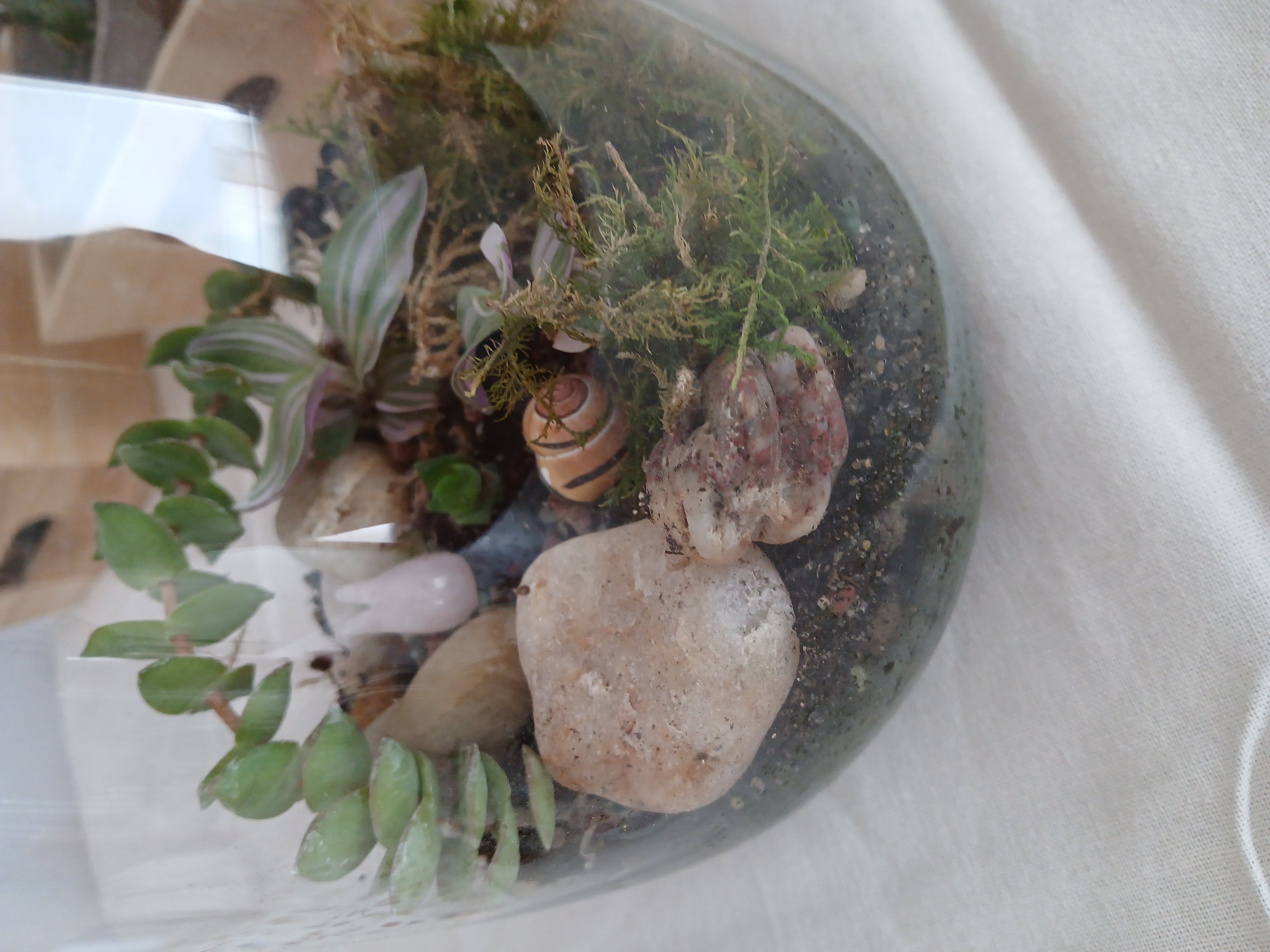 Atelier Terrarium
