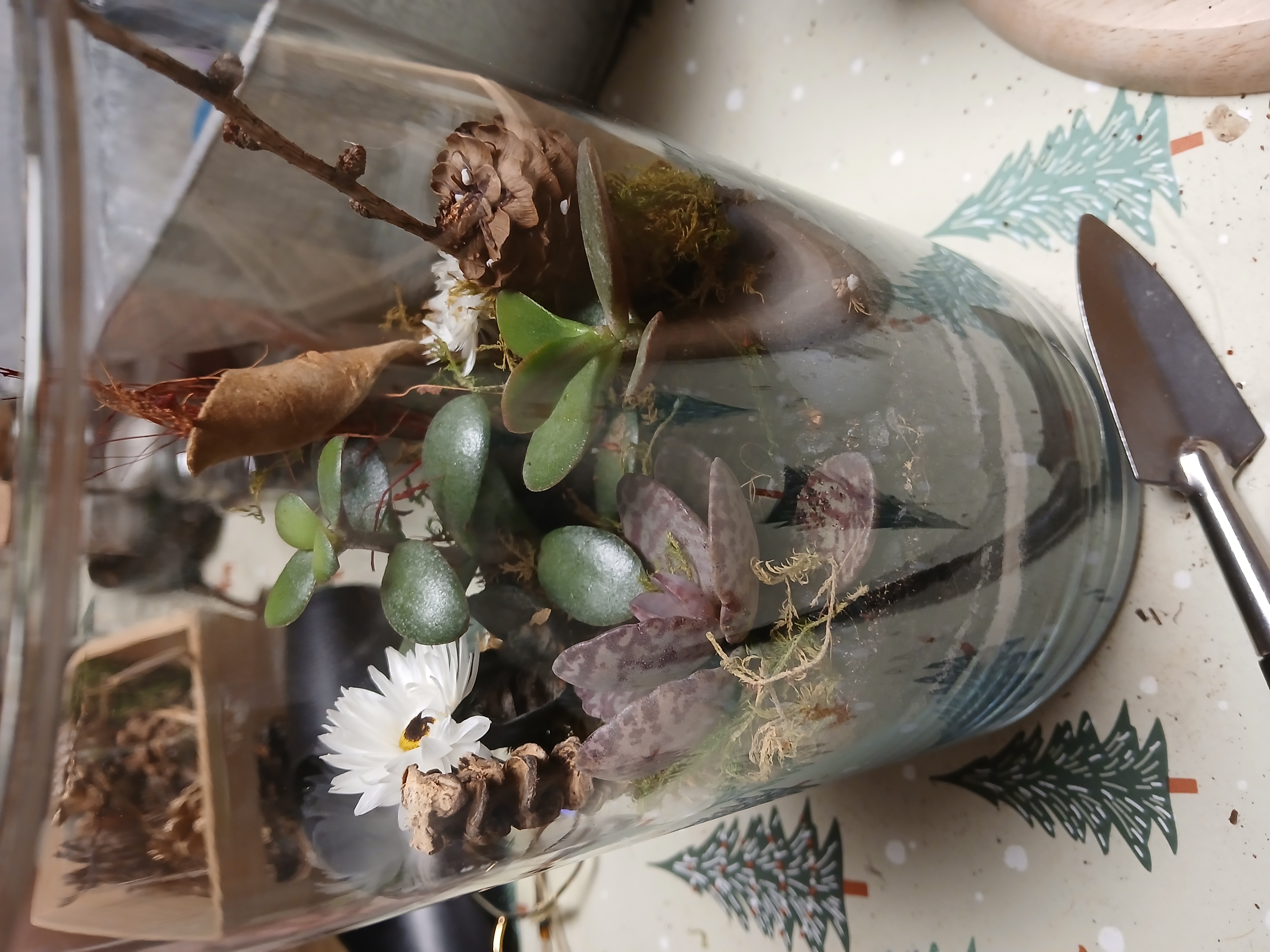 Atelier Terrarium