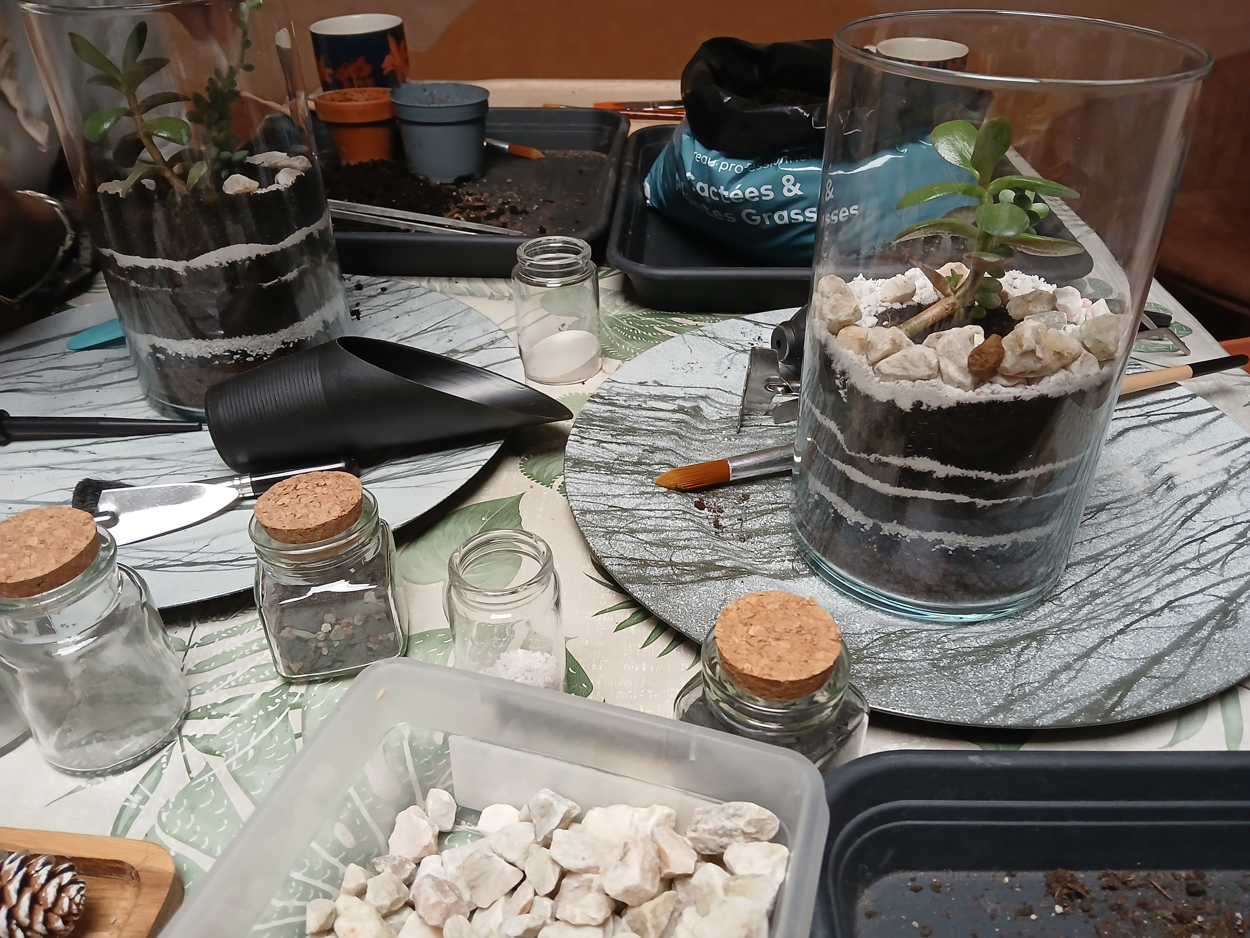 Atelier Terrarium
