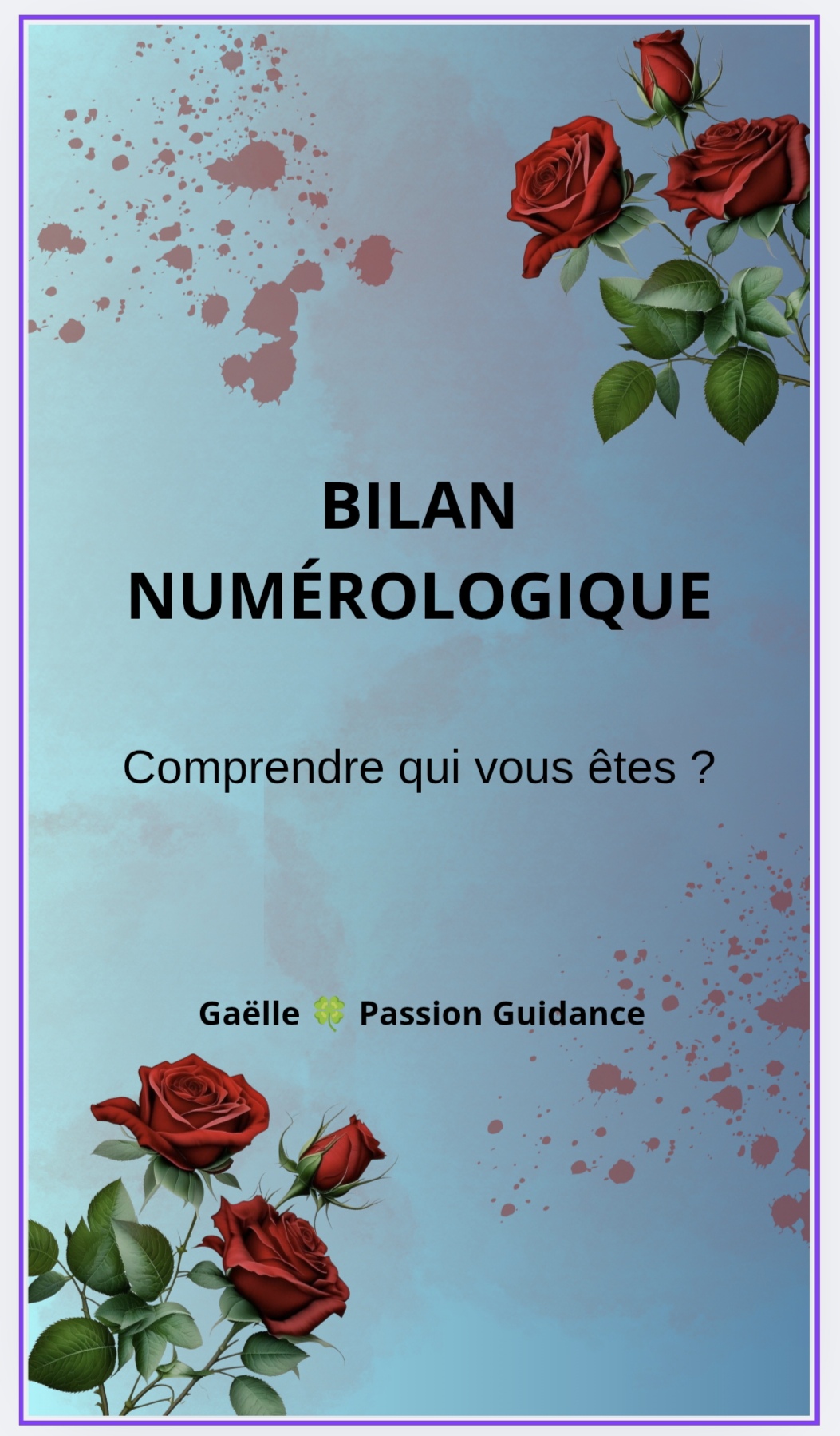BILAN NUMÉROLOGIQUE