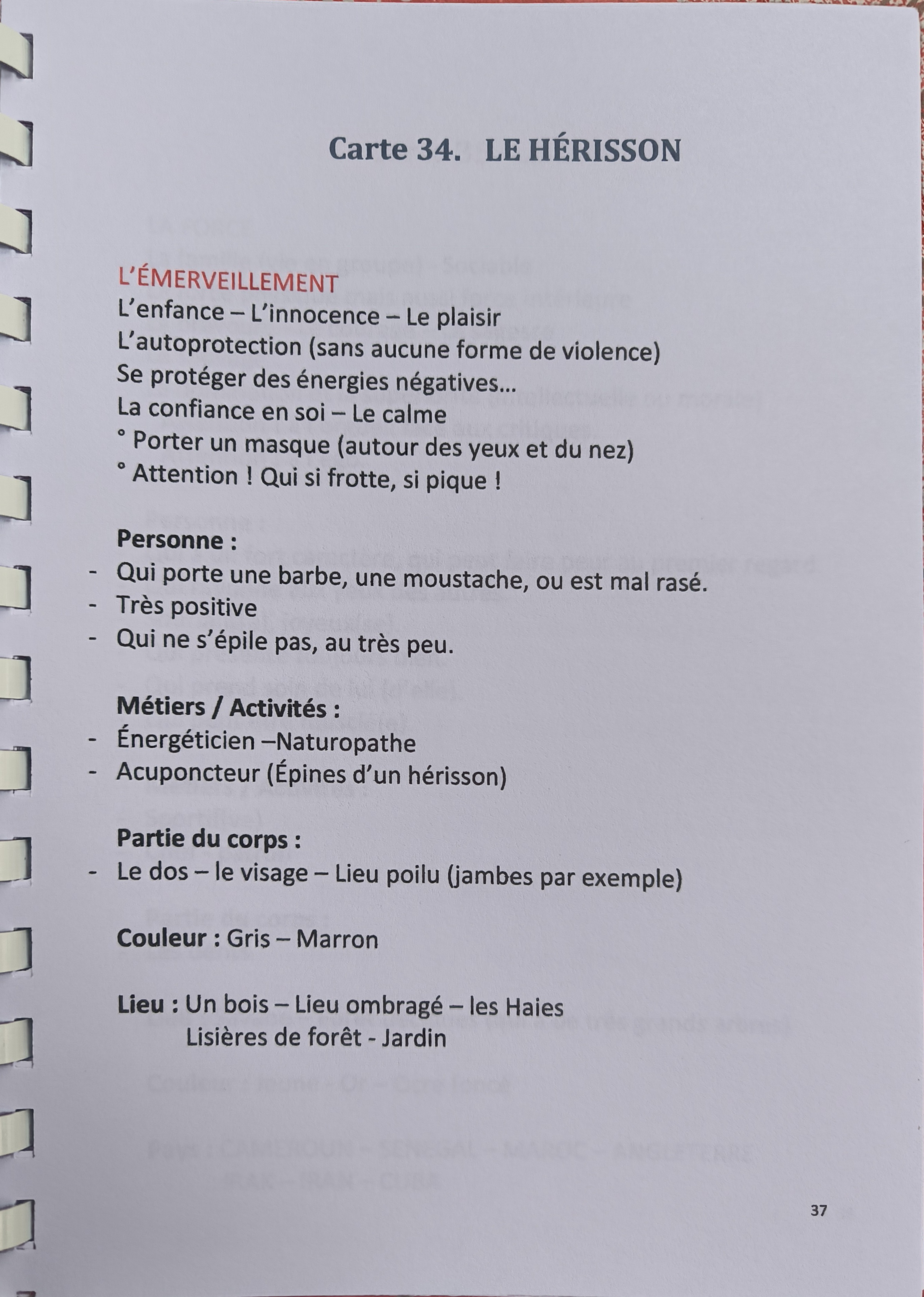 Ebook : Livre détaillé de l'Oracle FEU DE LUMIÈRE