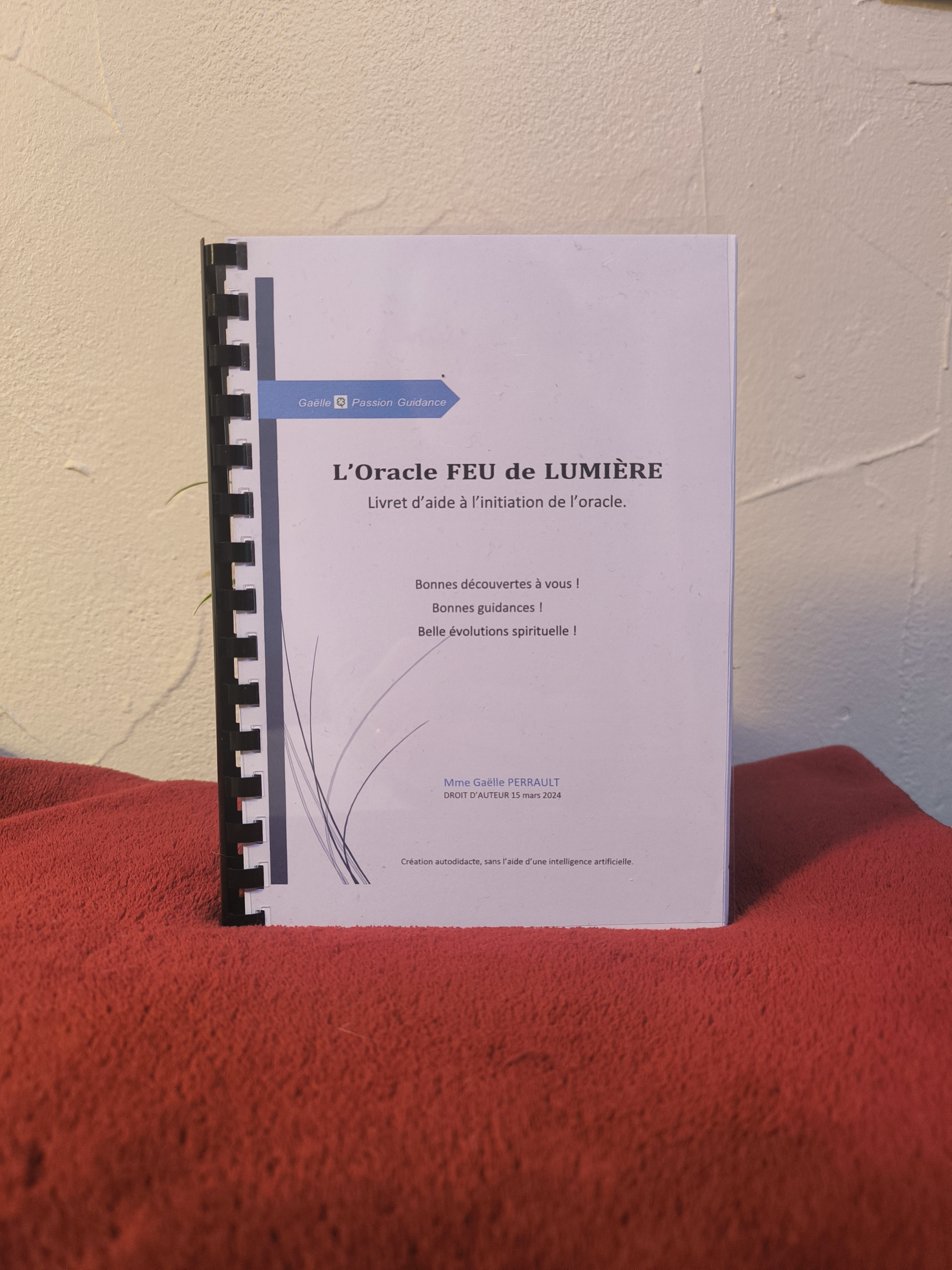Ebook : Livre détaillé de l'Oracle FEU DE LUMIÈRE