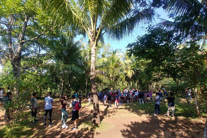 Jomblang Cave and Timang Gondola Beach Day Tour