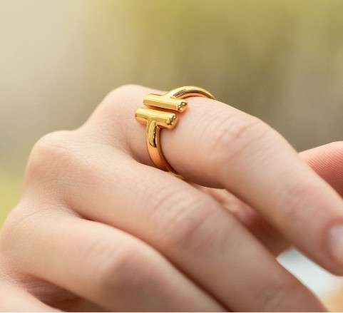 Anel União Ouro - An002