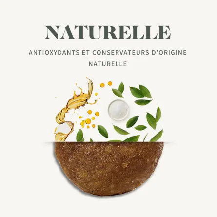 Bab'in ULTRA CHIEN  Junior Ultra 10kgs