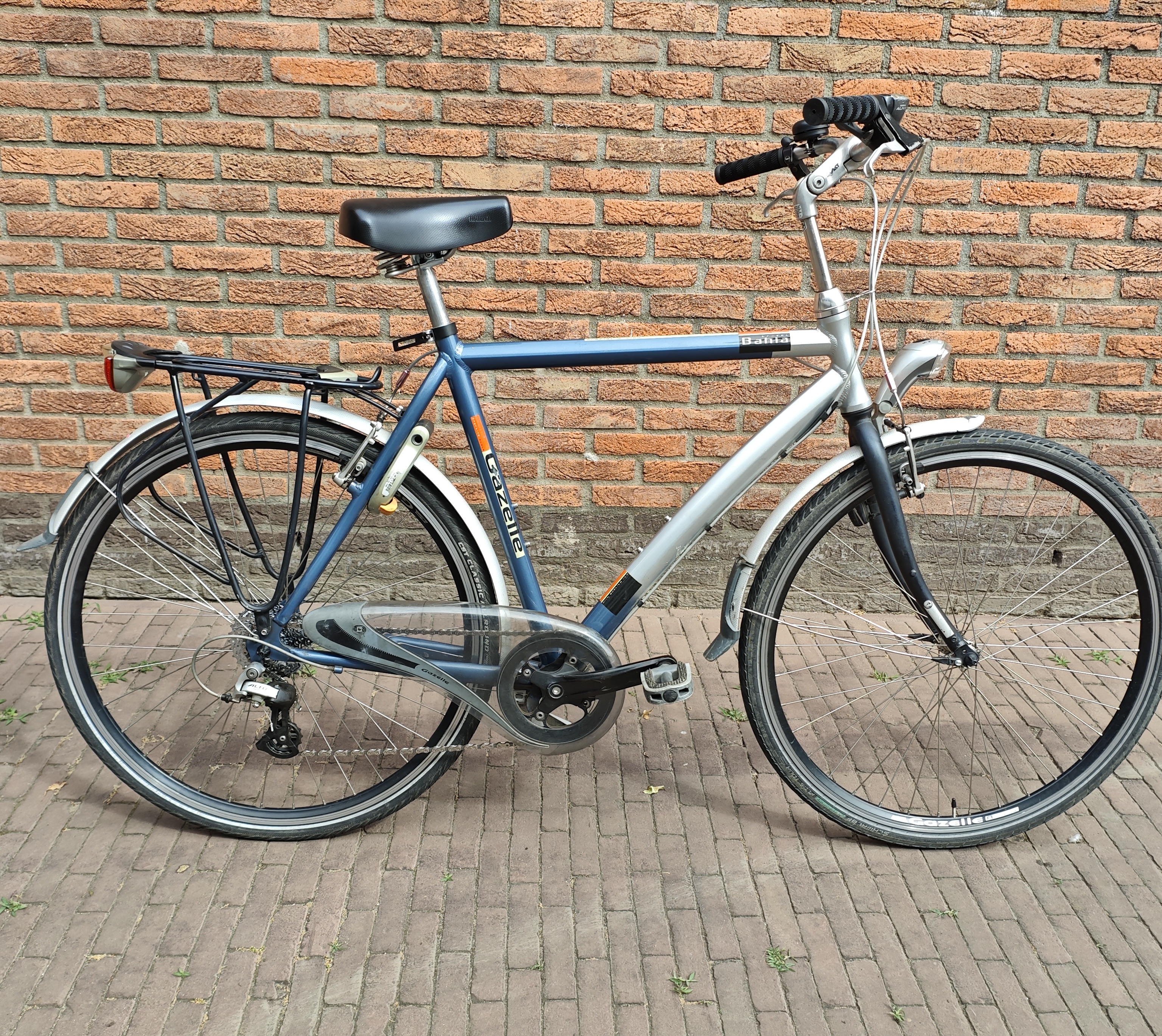 Gazelle Bahra