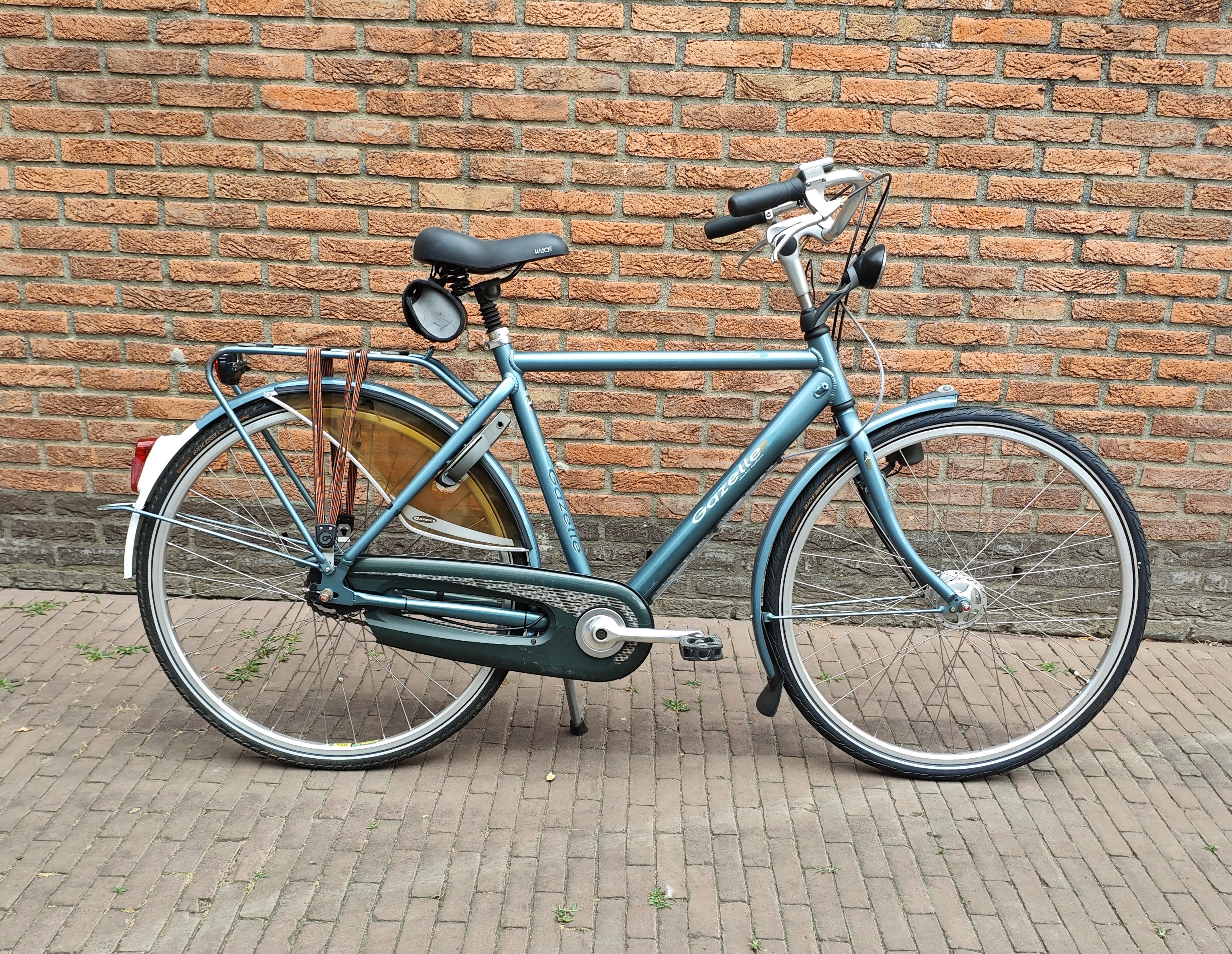 Gazelle Accent