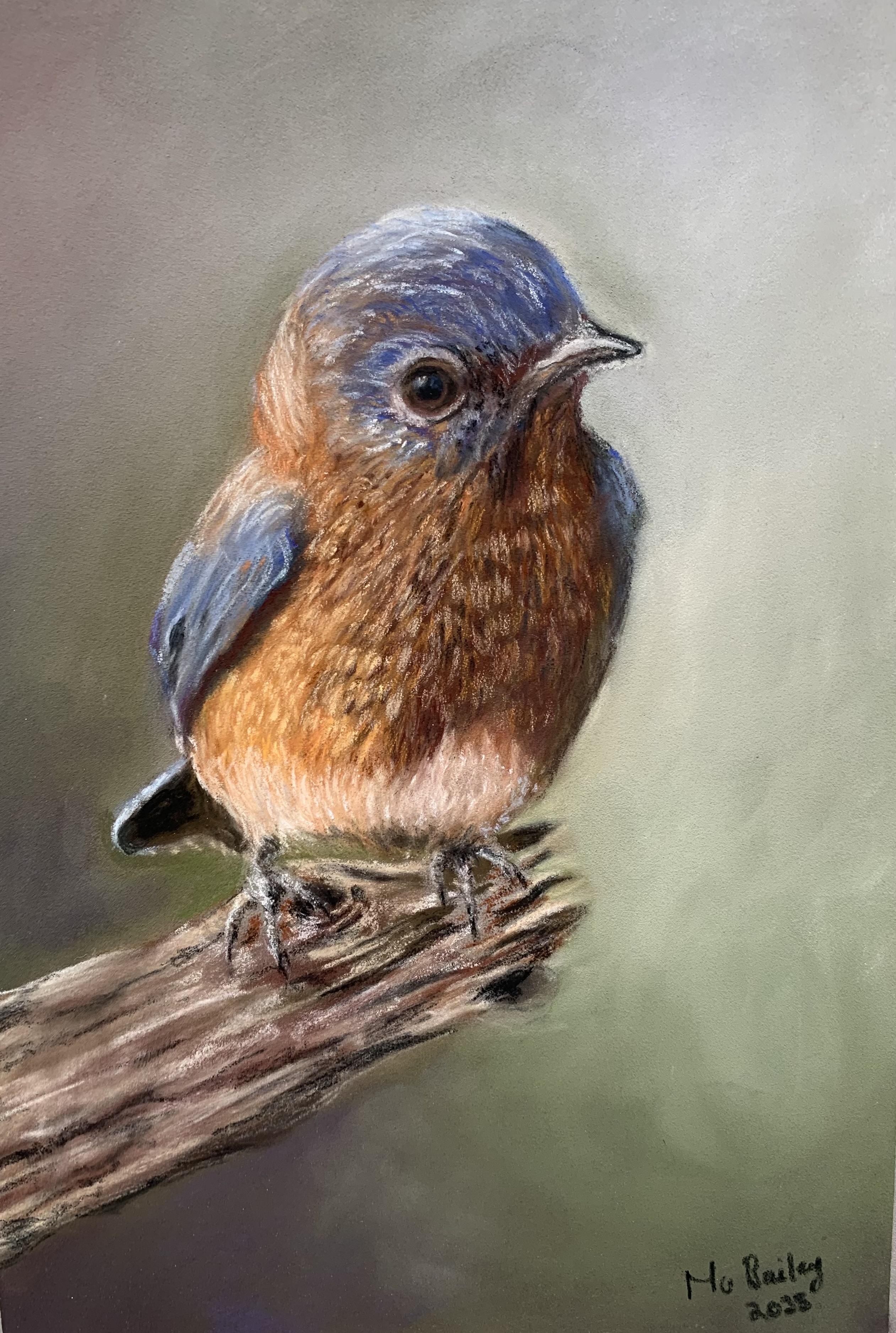 Silent Watcher A4 Limited Edition Print