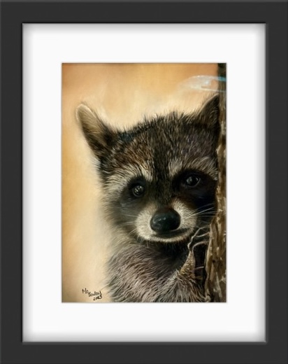 Rocky The Racoon A4  Hand signed Limited Edition Print