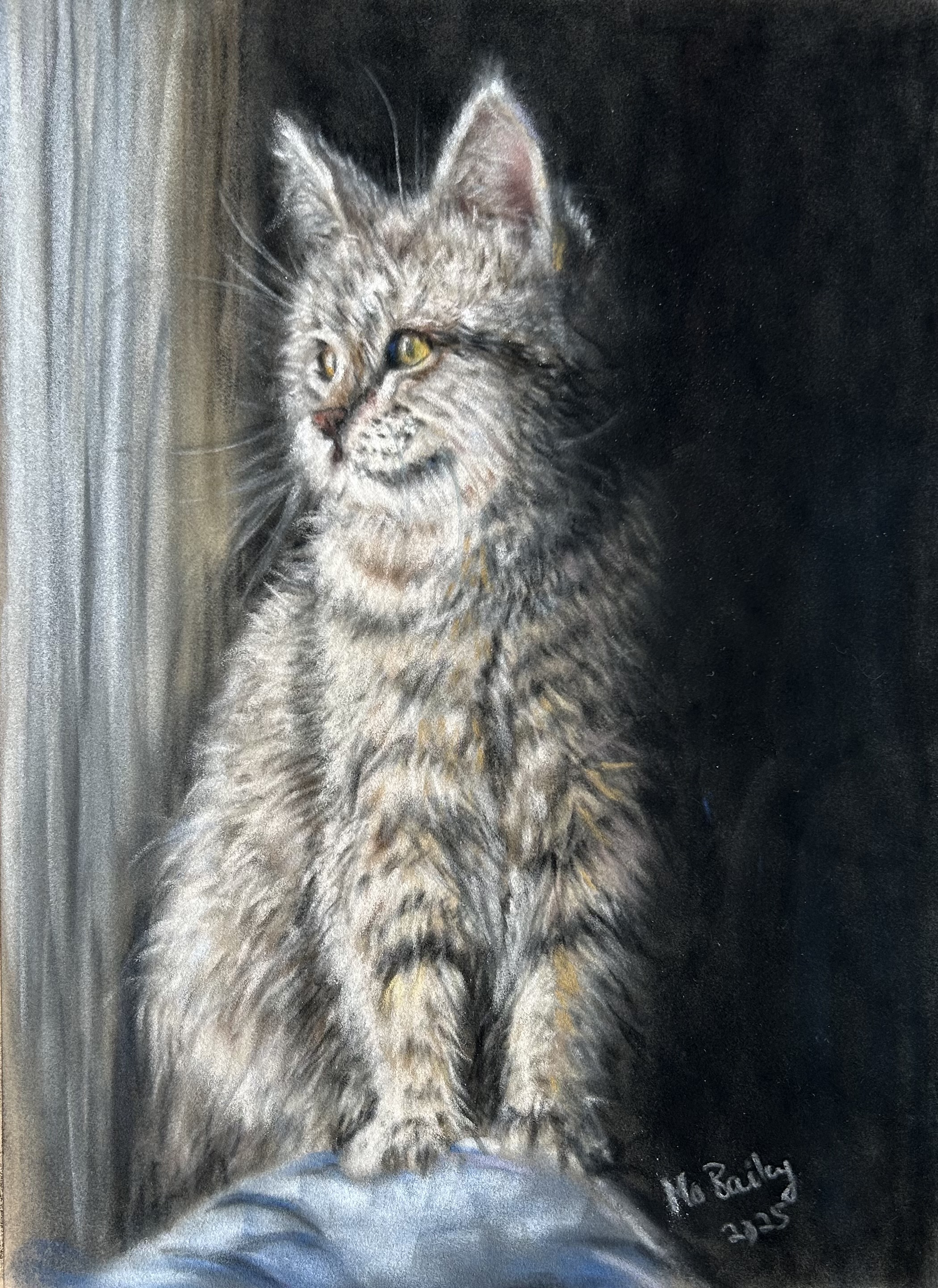 Quiet Paws A4 Limited Edition Print