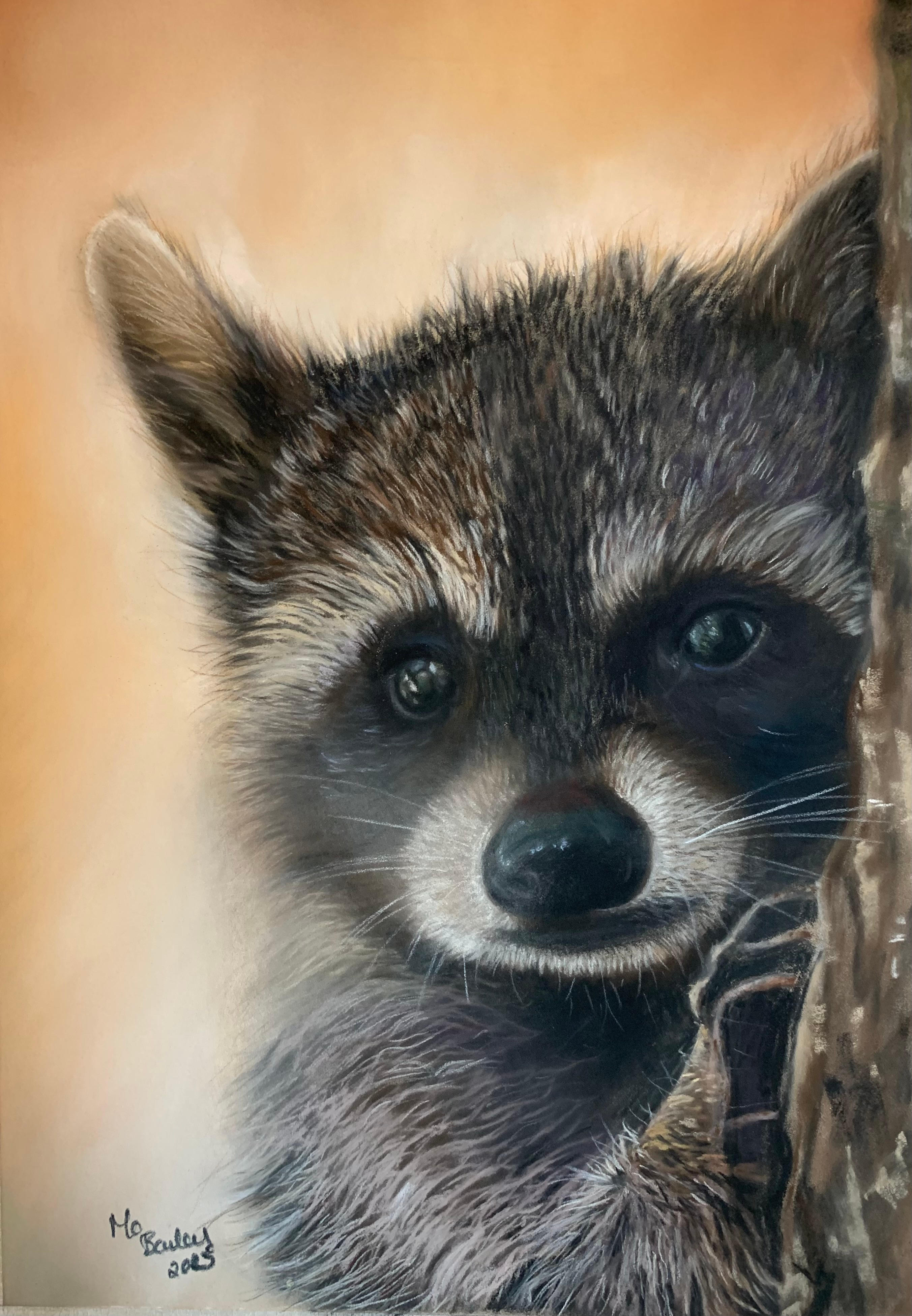 Rocky The Racoon A4 Limited Edition Print