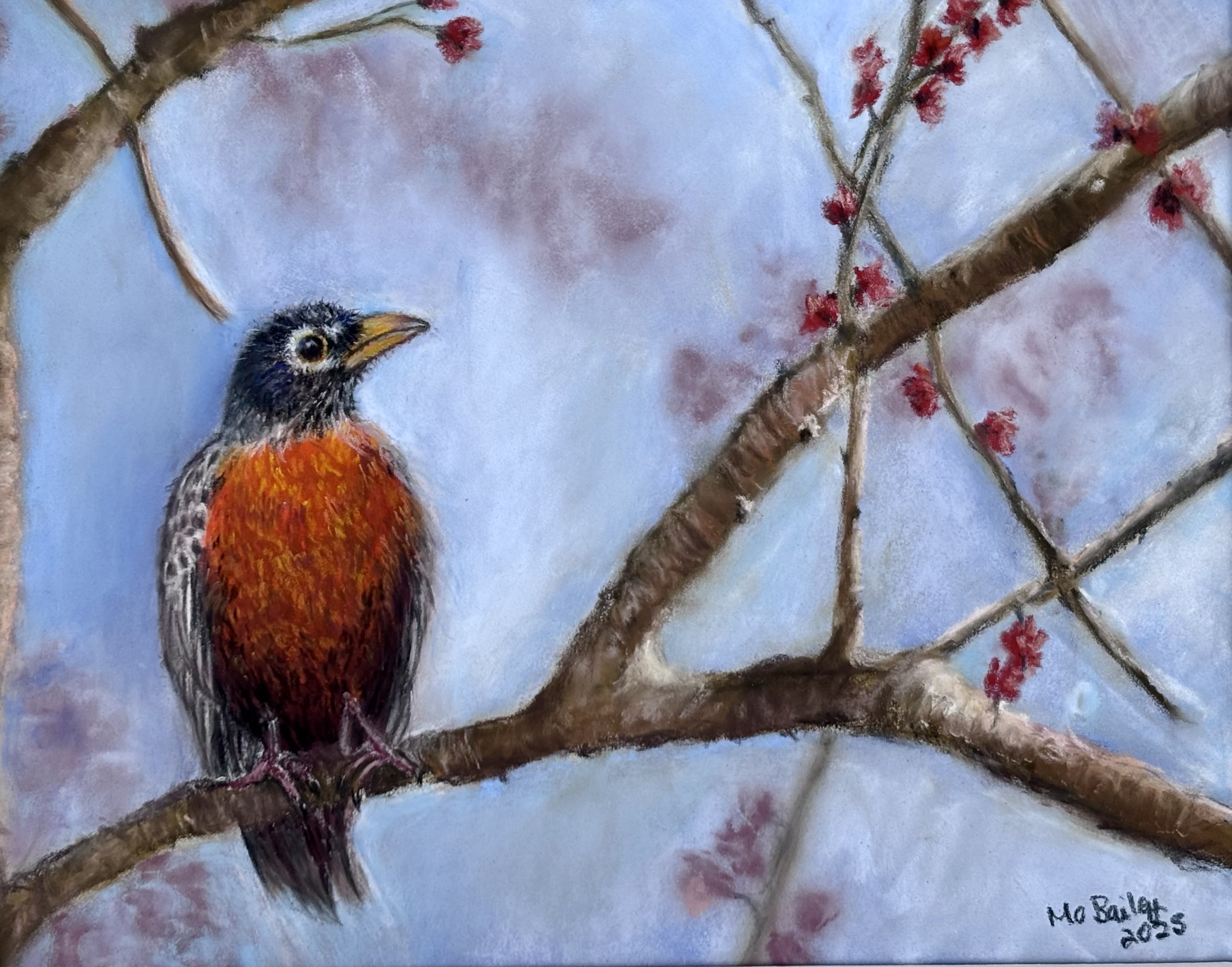 Robin At Dawn 10 x 8 Limited Edition Print