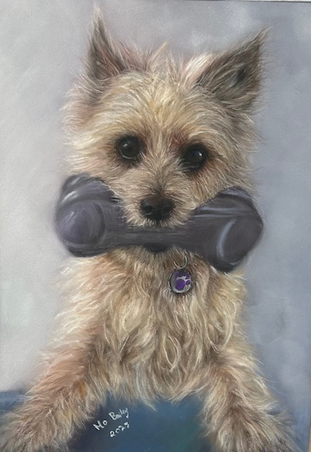 Did Someone Say Play? A4 Limited Edition Print