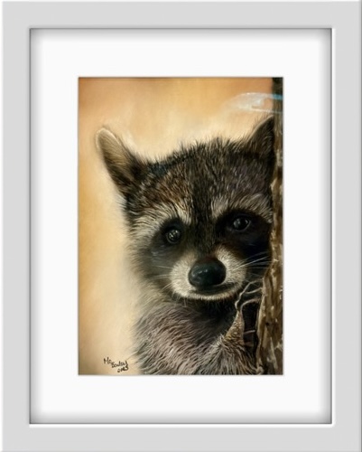 Rocky The Racoon A4  Hand signed Limited Edition Print