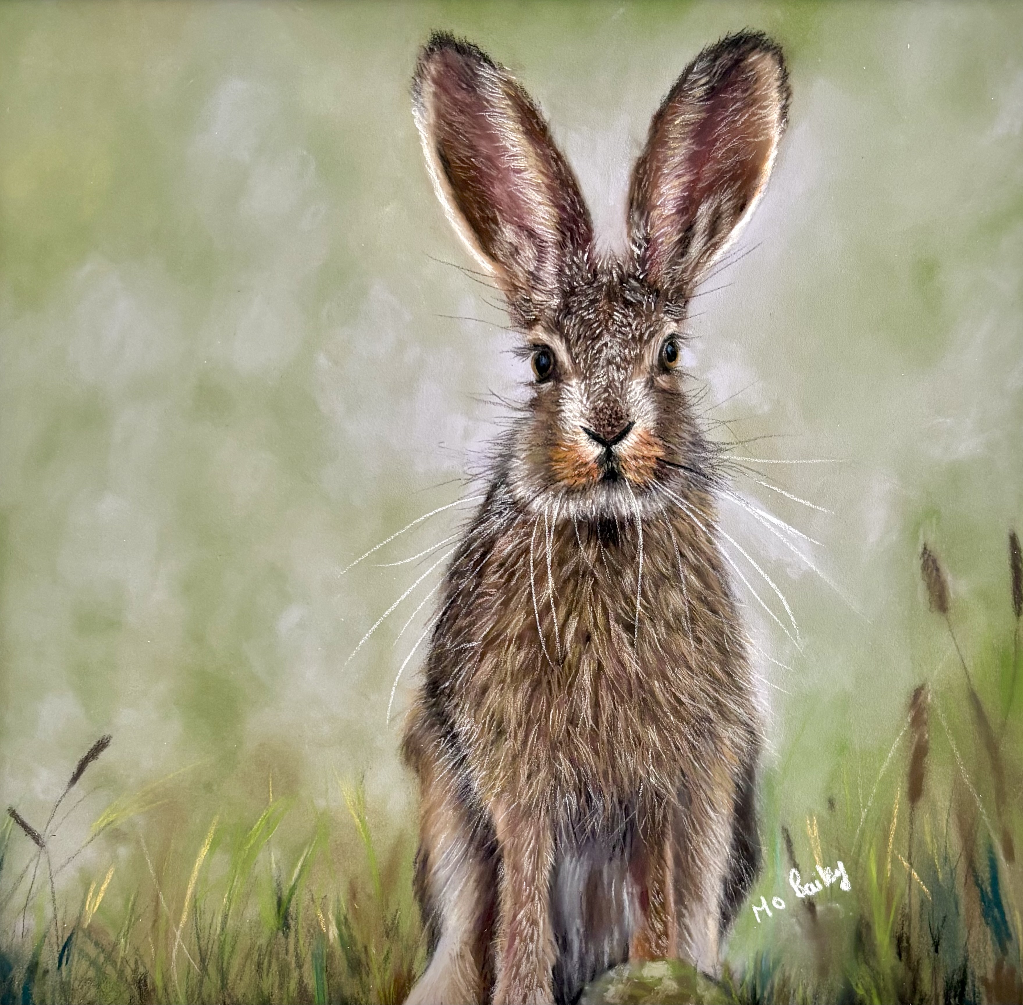 Hare At Dawn 8 x 8 Inch Print