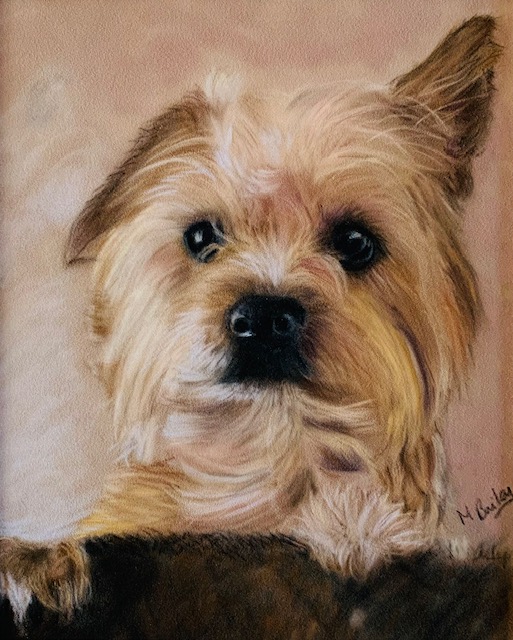 Did Someone Say Treats? A4 Limited Edition Print